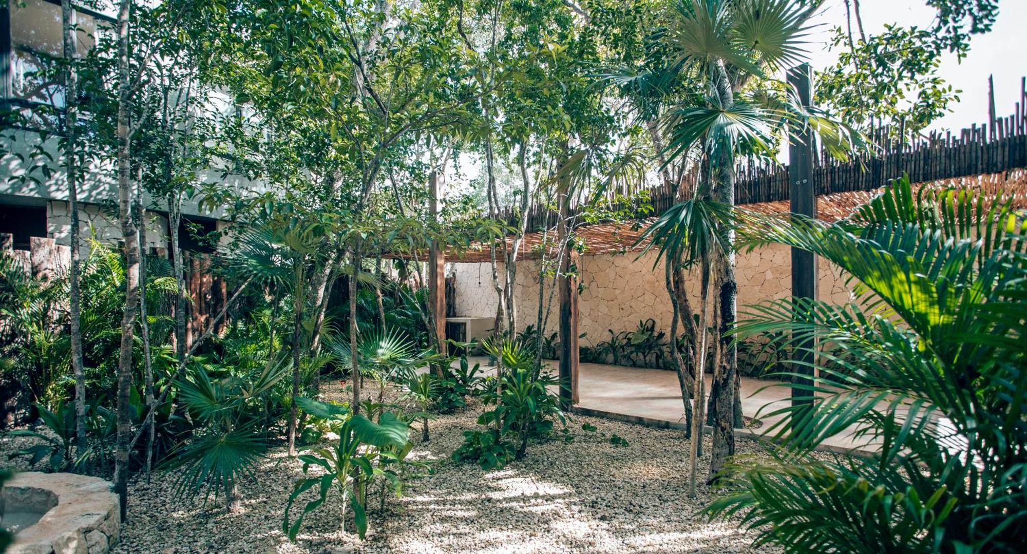 Luxury Jungle Villa-Pvt Pool -100Mbs- Concierge 8A Tulum Exteriér fotografie