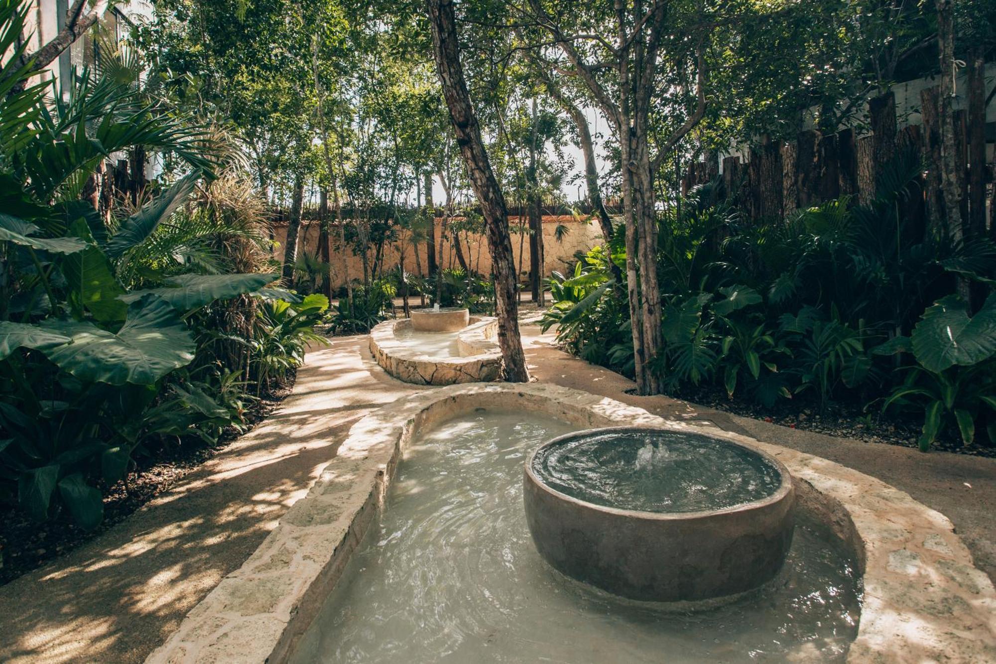 Luxury Jungle Villa-Pvt Pool -100Mbs- Concierge 8A Tulum Exteriér fotografie